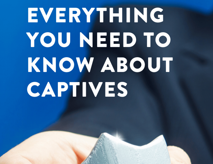 Everything You Need to Know About Captives-1-1